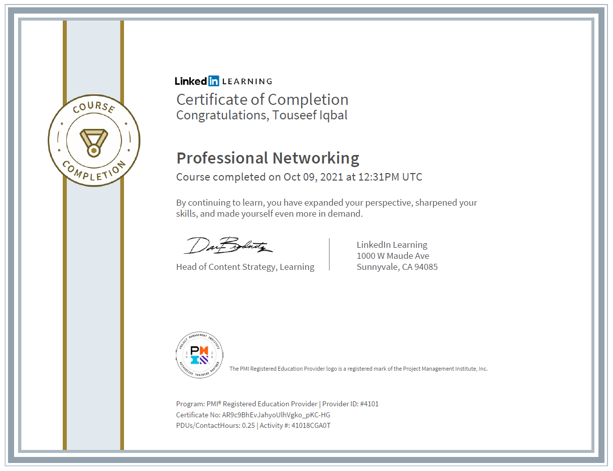 Professional Networking