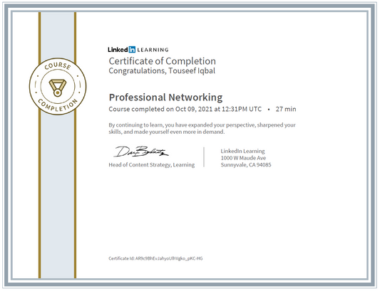 Professional Networking 2